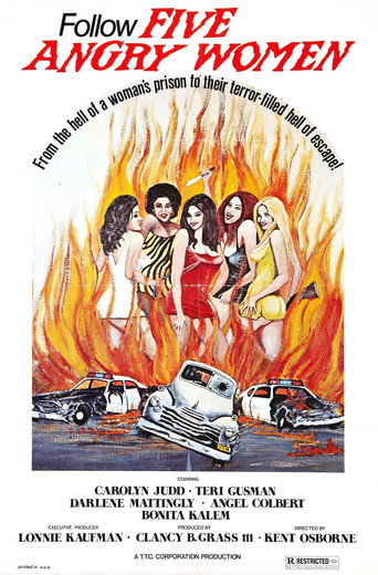 Women Unchained movie poster