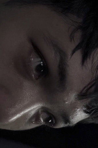 Lucid dream movie poster