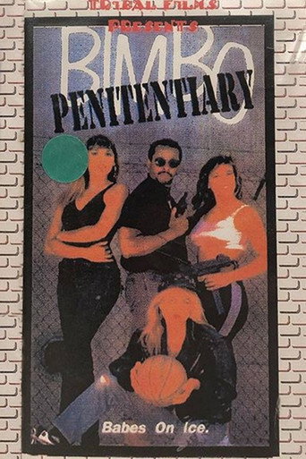 Bimbo Penitentiary movie poster