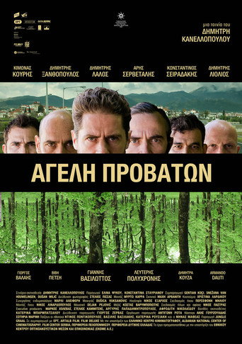 Pack of Sheep movie poster