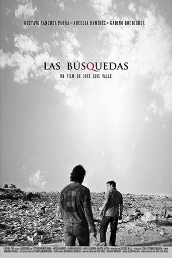 The Searches movie poster
