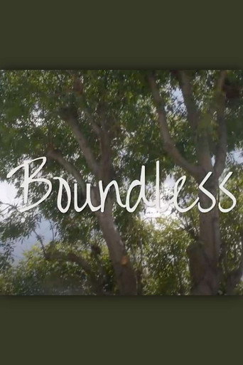 Boundless movie poster