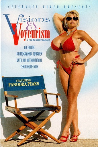 Visions and Voyeurism movie poster