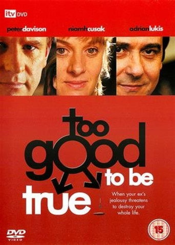 Too Good to Be True movie poster