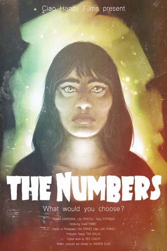 The Numbers movie poster