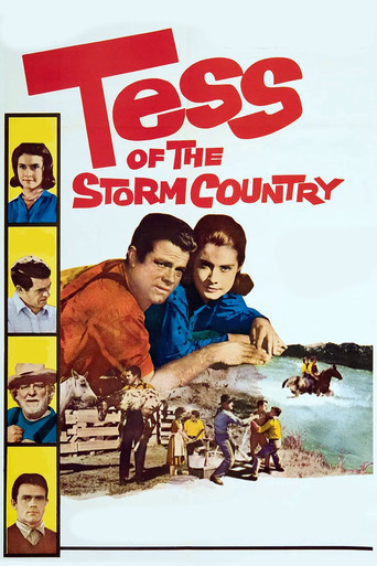 Tess of the Storm Country movie poster
