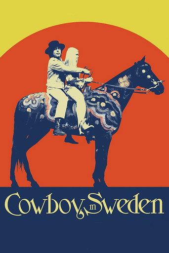 Cowboy in Sweden movie poster