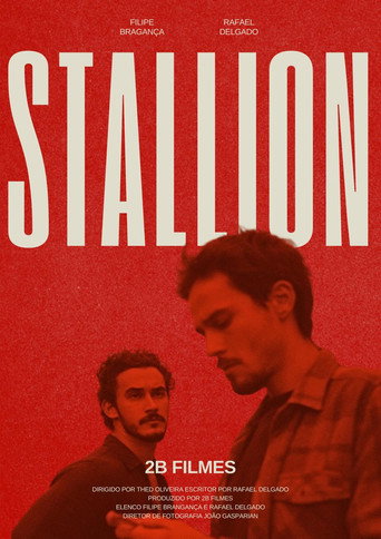 Garanhão movie poster