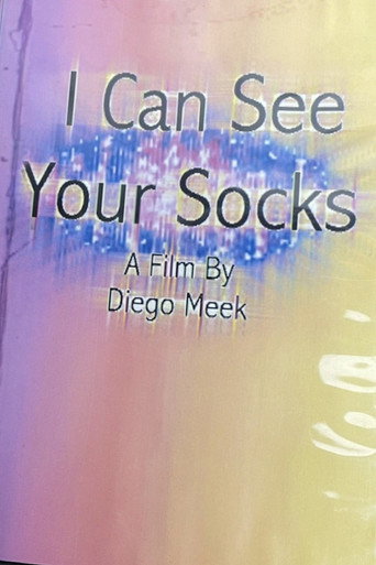 I Can See Your Socks movie poster