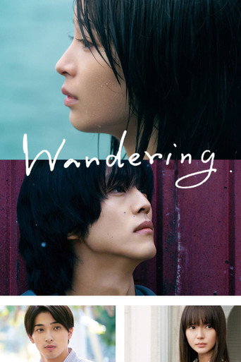 The Wandering Moon movie poster