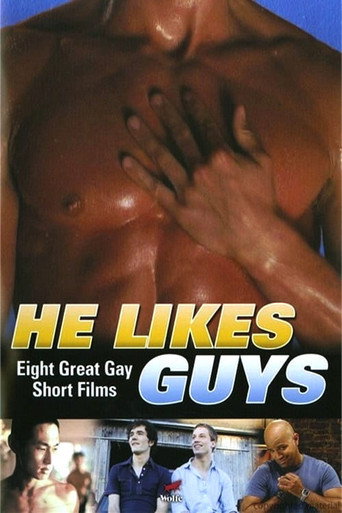 He Likes Guys movie poster