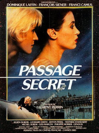 Secret Passage movie poster