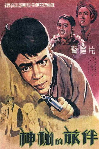 Mysterious Travelling Companion movie poster