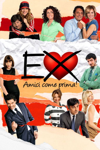 Ex 2: Still Friends movie poster