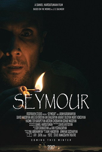 Seymour movie poster
