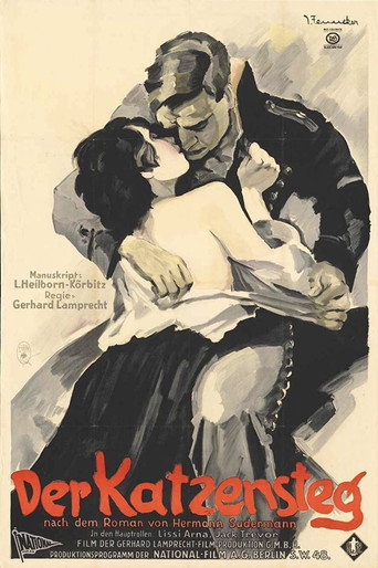 The Cat's Bridge movie poster
