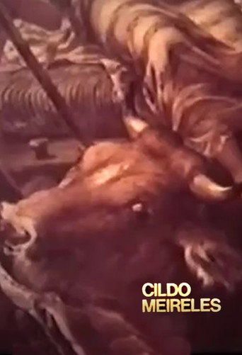 Cildo Meireles movie poster