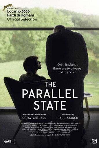 The Parallel State movie poster