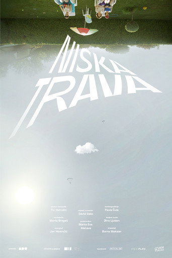 Short Cut Grass movie poster