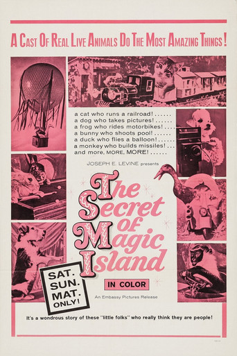 The Secret of Magic Island movie poster
