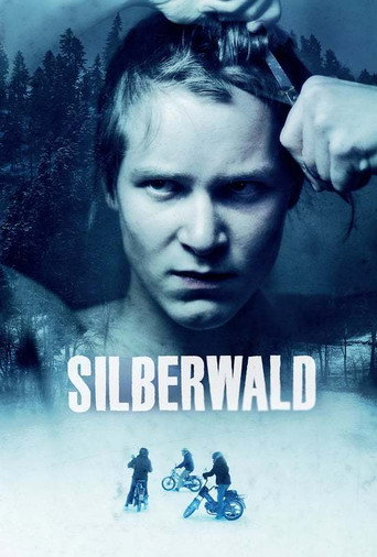 Silver Forest movie poster