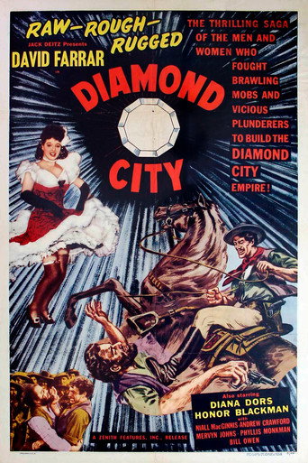 Diamond City movie poster