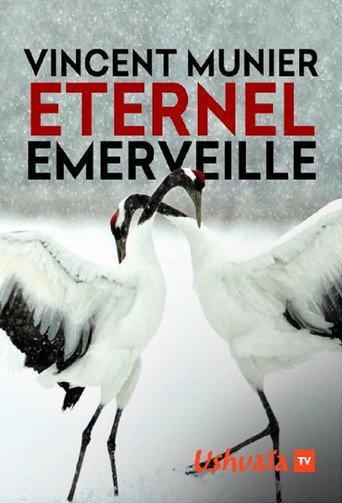 Vincent Munier, éternel émerveillé movie poster