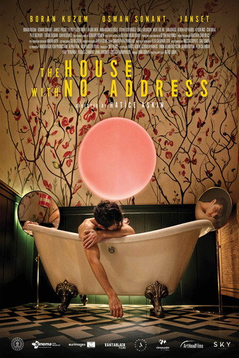 The House with No Address movie poster