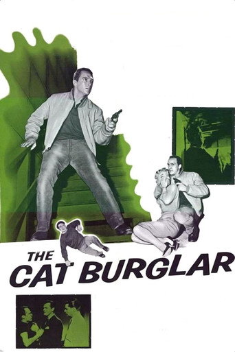 The Cat Burglar movie poster