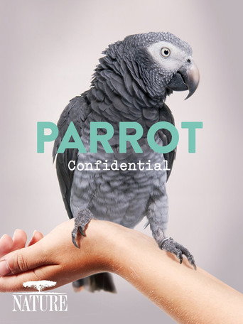 Parrot Confidential movie poster