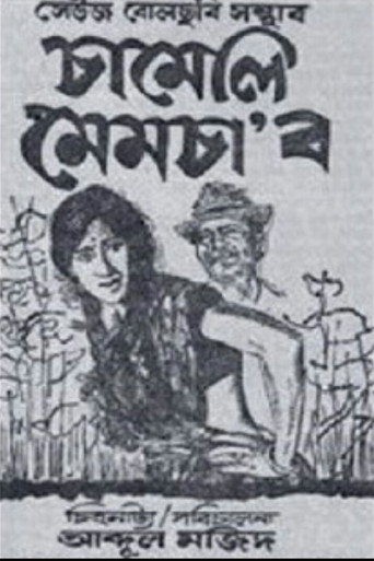 Chameli Memsaab movie poster