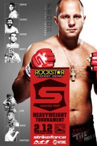 Strikeforce: Fedor vs. Silva movie poster
