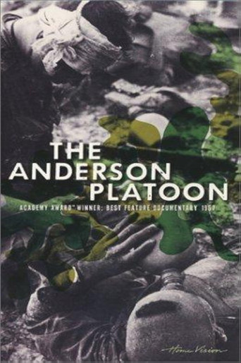 The Anderson Platoon movie poster