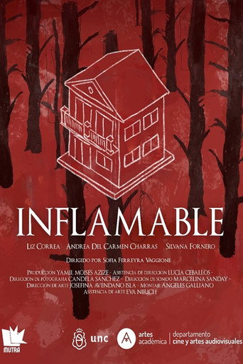 Inflamable movie poster