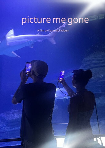Picture Me Gone movie poster