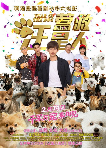 The Big Rescue movie poster