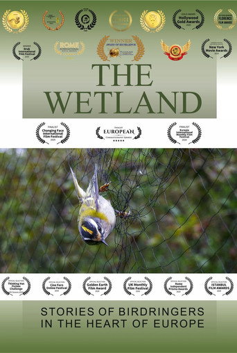 The Wetland movie poster