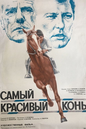 The Most Beautiful Horse movie poster