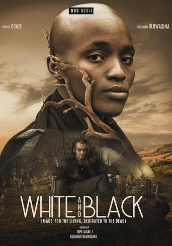 White and Black movie poster