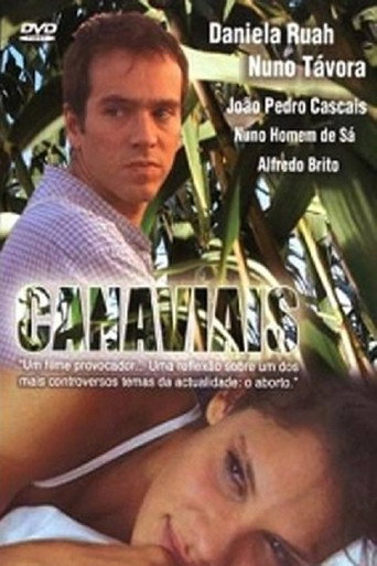 Canaviais movie poster