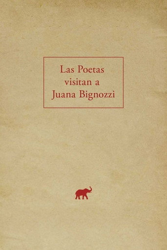 The Poets Visit Juana Bignozzi movie poster