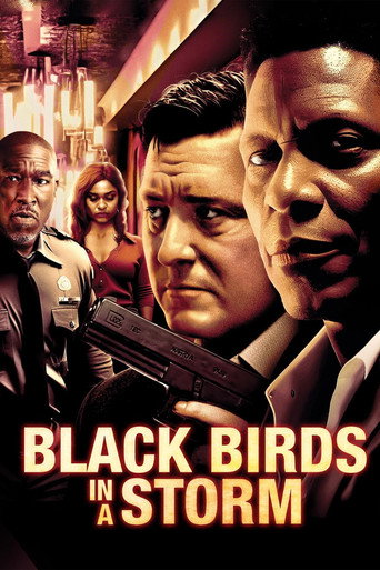 Black Birds in a Storm movie poster