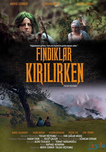 Fındıklar Kırılırken movie poster