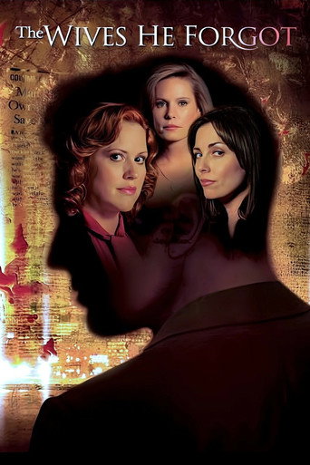 The Wives He Forgot movie poster