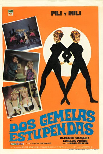 Dos gemelas estupendas movie poster