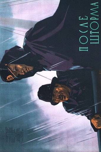 After The Storm movie poster