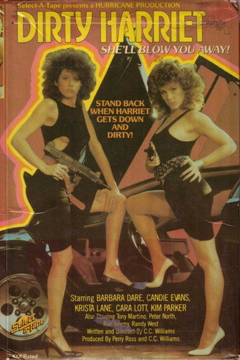 Dirty Harriet movie poster