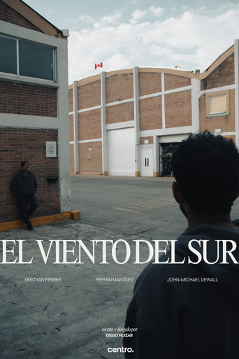 El viento del sur movie poster