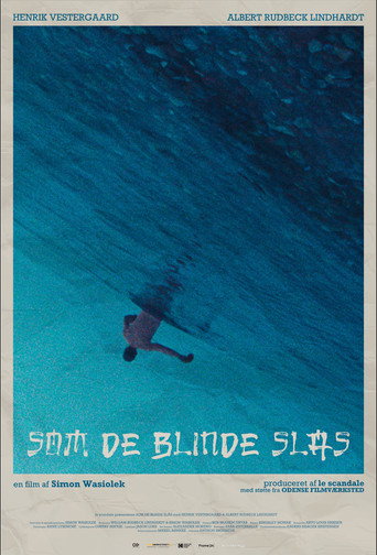 Brawling in Blindspots movie poster