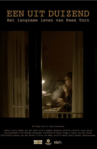 Het Langzame Leven van Kees Torn movie poster